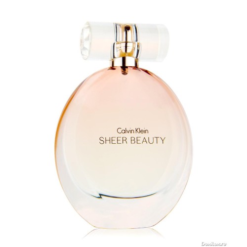 Buy Calvin Klein Sheer Beauty Eau De Toilette Perfume for Women - 100 ml  Online